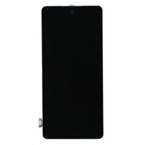 LCD with Touch Screen for Samsung Galaxy S20 FE 2022 - Black (display glass combo folder)