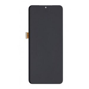 LCD with Touch Screen for Samsung Galaxy S20 Ultra 5G - Black (display glass combo folder)